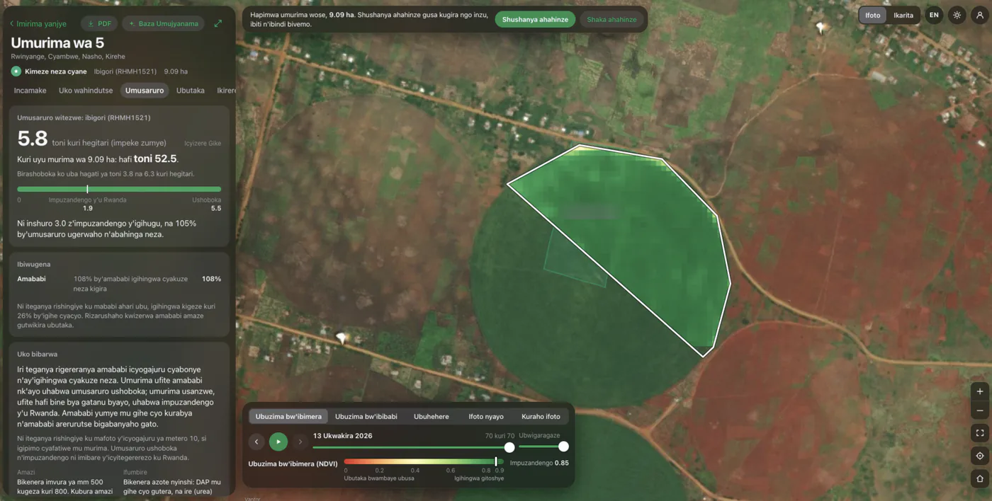 Umujyanama field page with the yield estimate and the satellite crop-health map